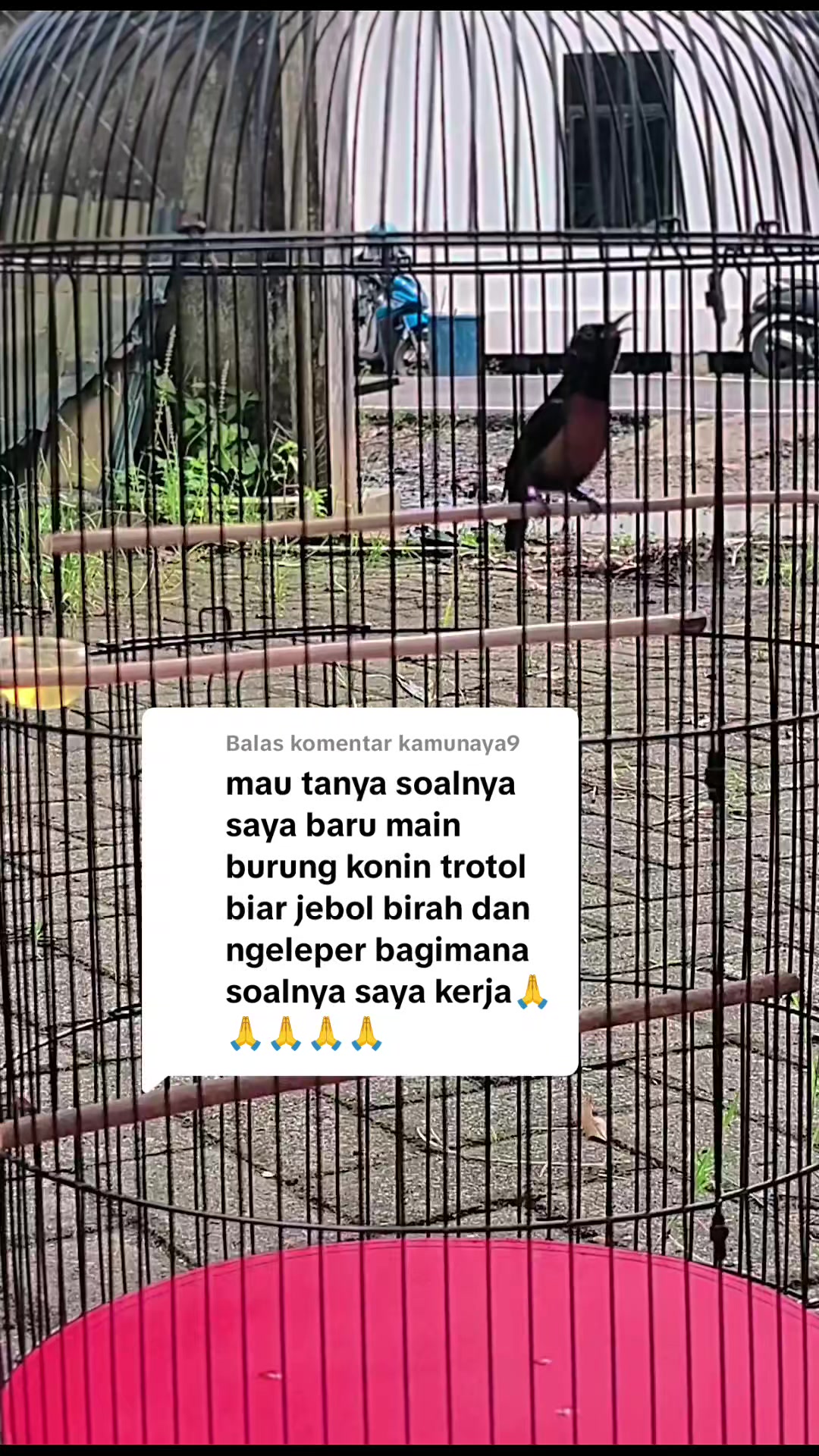 @banjarrayasquad