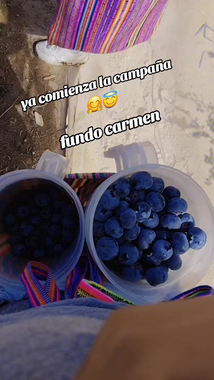 @Esmeralda Acuña