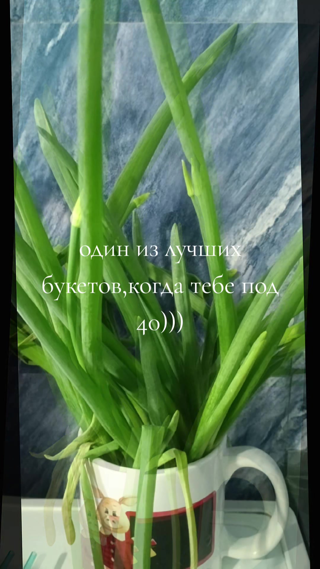 @Виктория Беркус