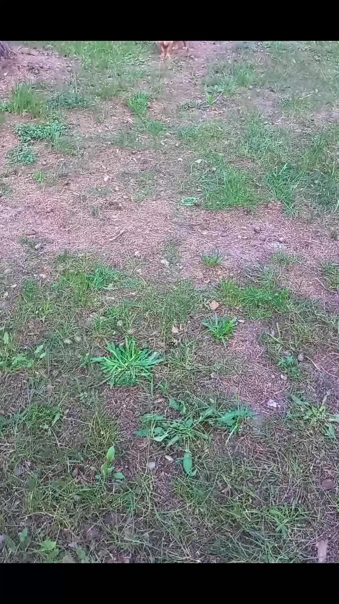 @Сергій Водоп'янов