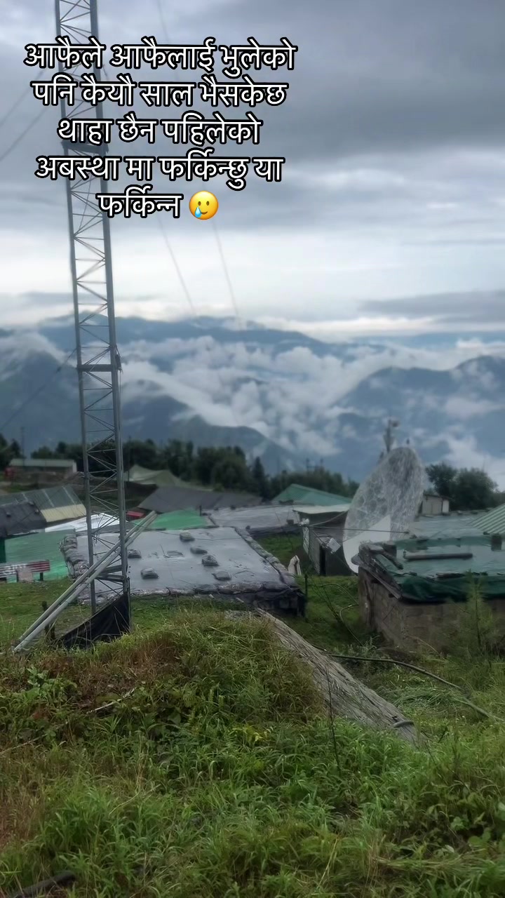 @bhupi559