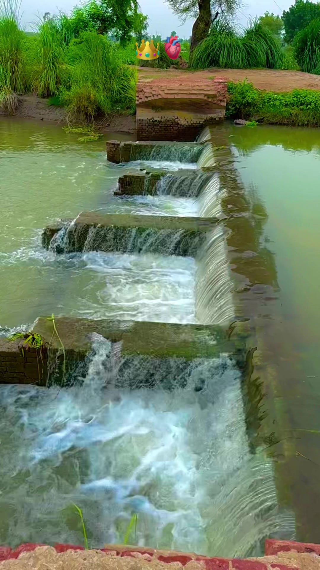 @پنجابی کلچر 🌾🍂