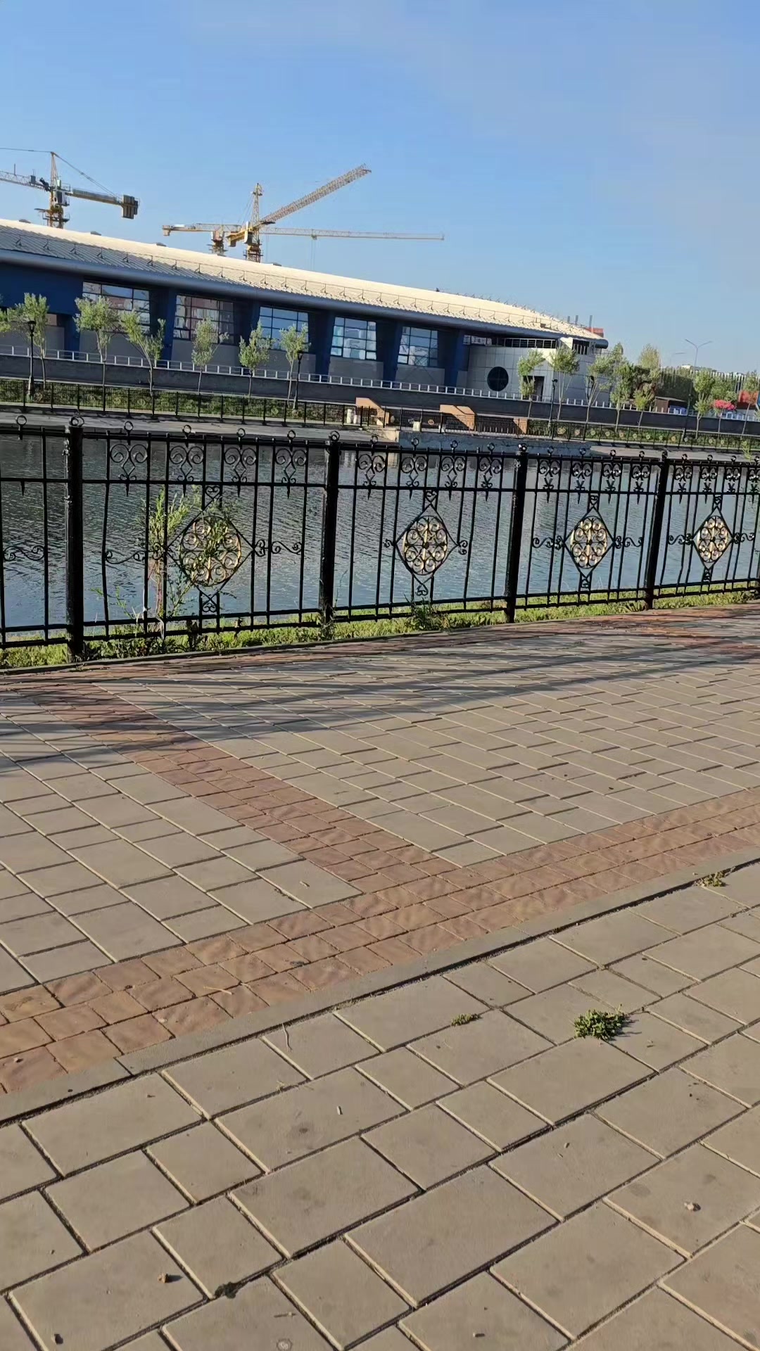 @лев