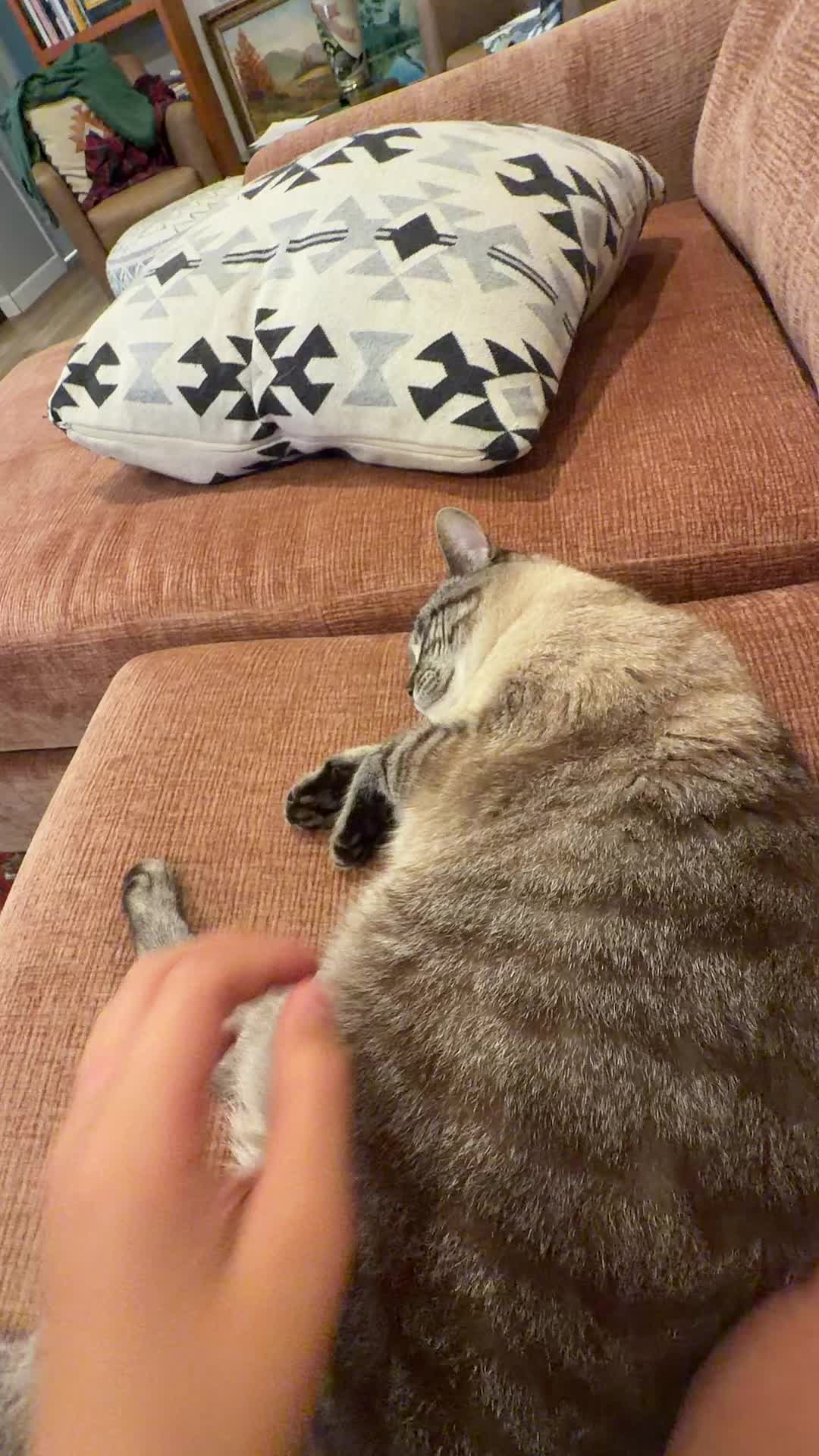 @PepperTheCat