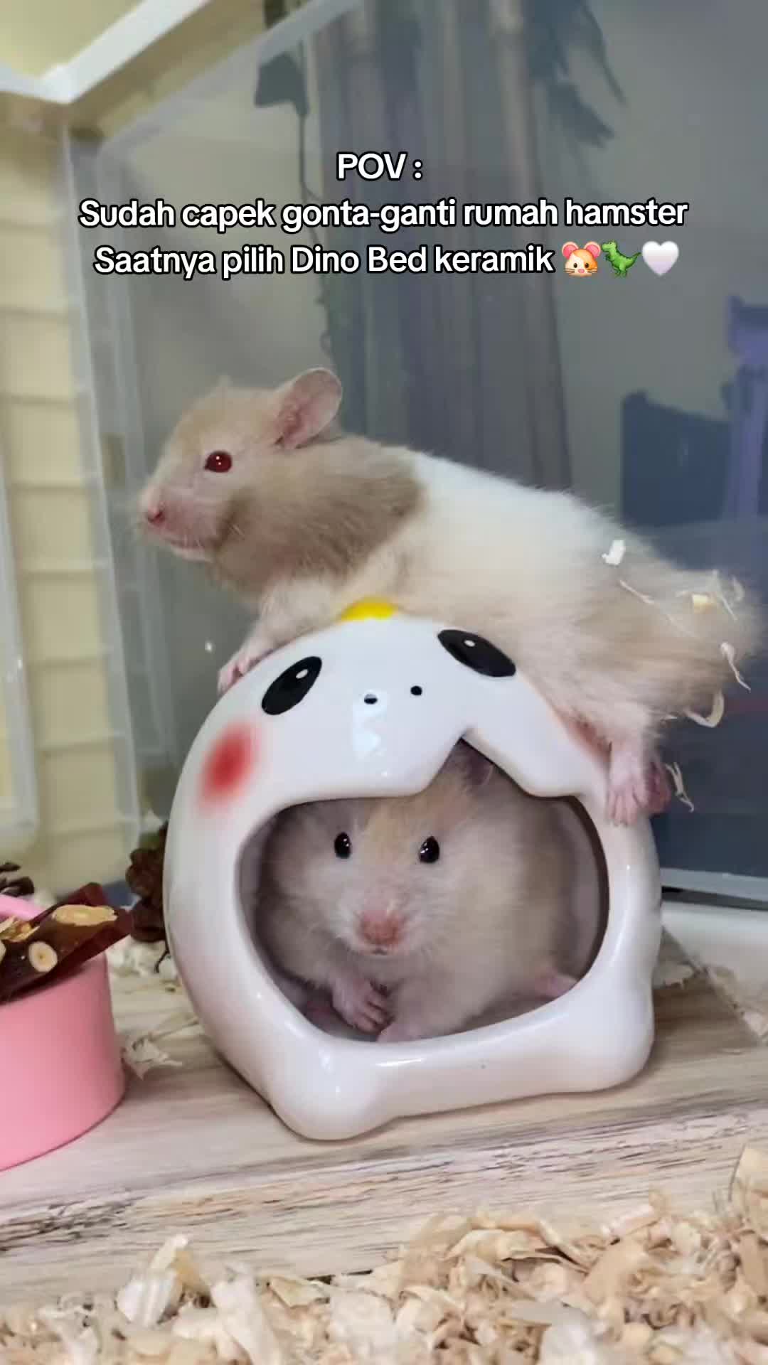 @TamaGo Pet