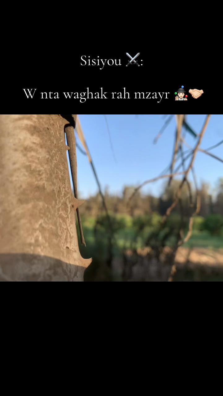 @⚡️🍂