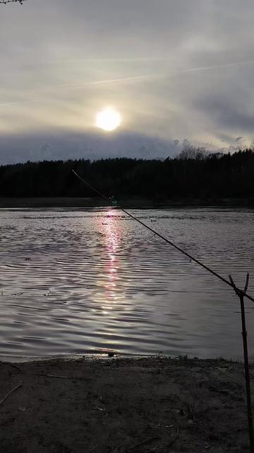 @Сергей