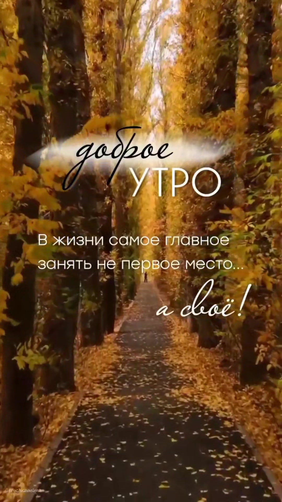 @🇧🇾 Елена 💞💞💞