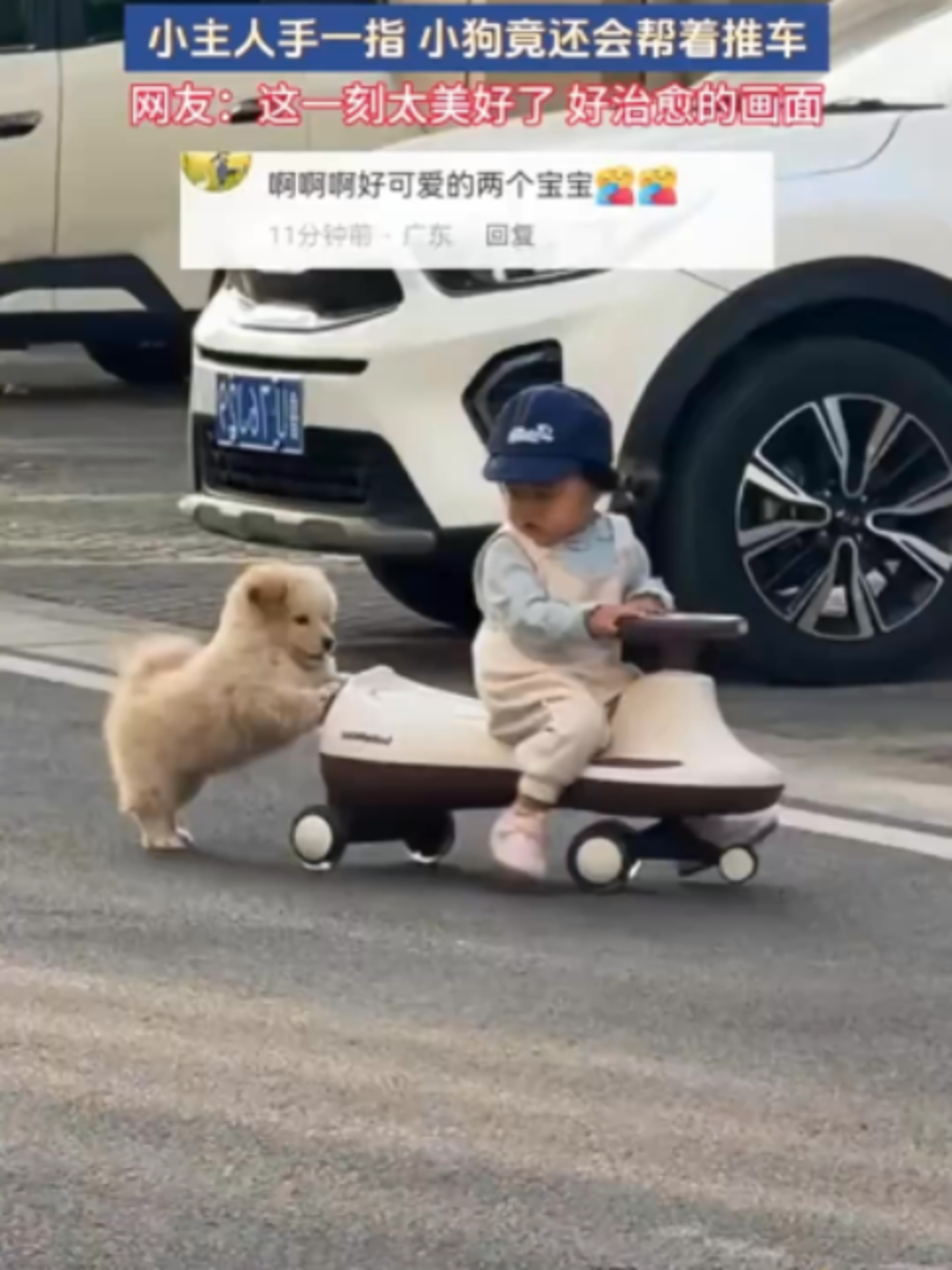 @中国蓝国际