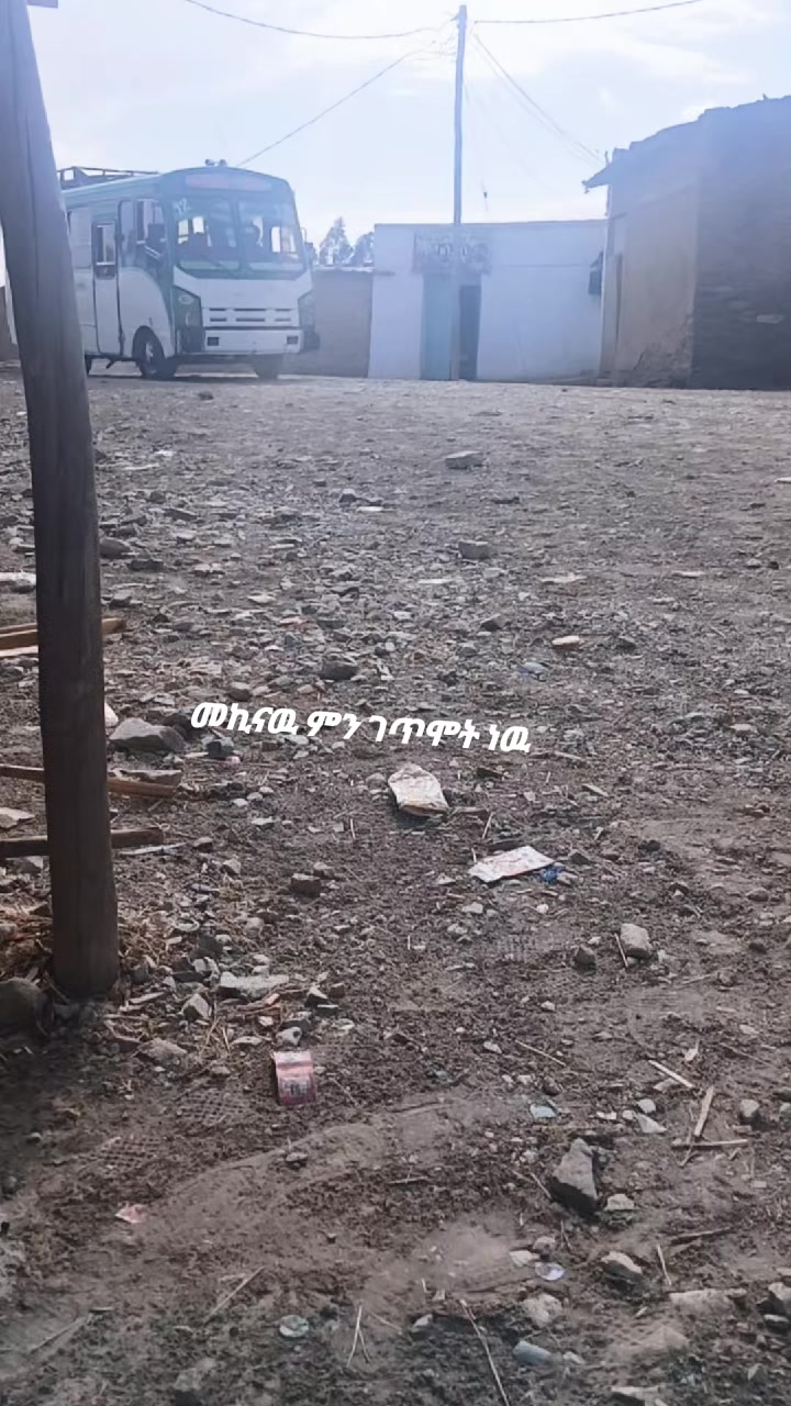 @step by step ዋልያ