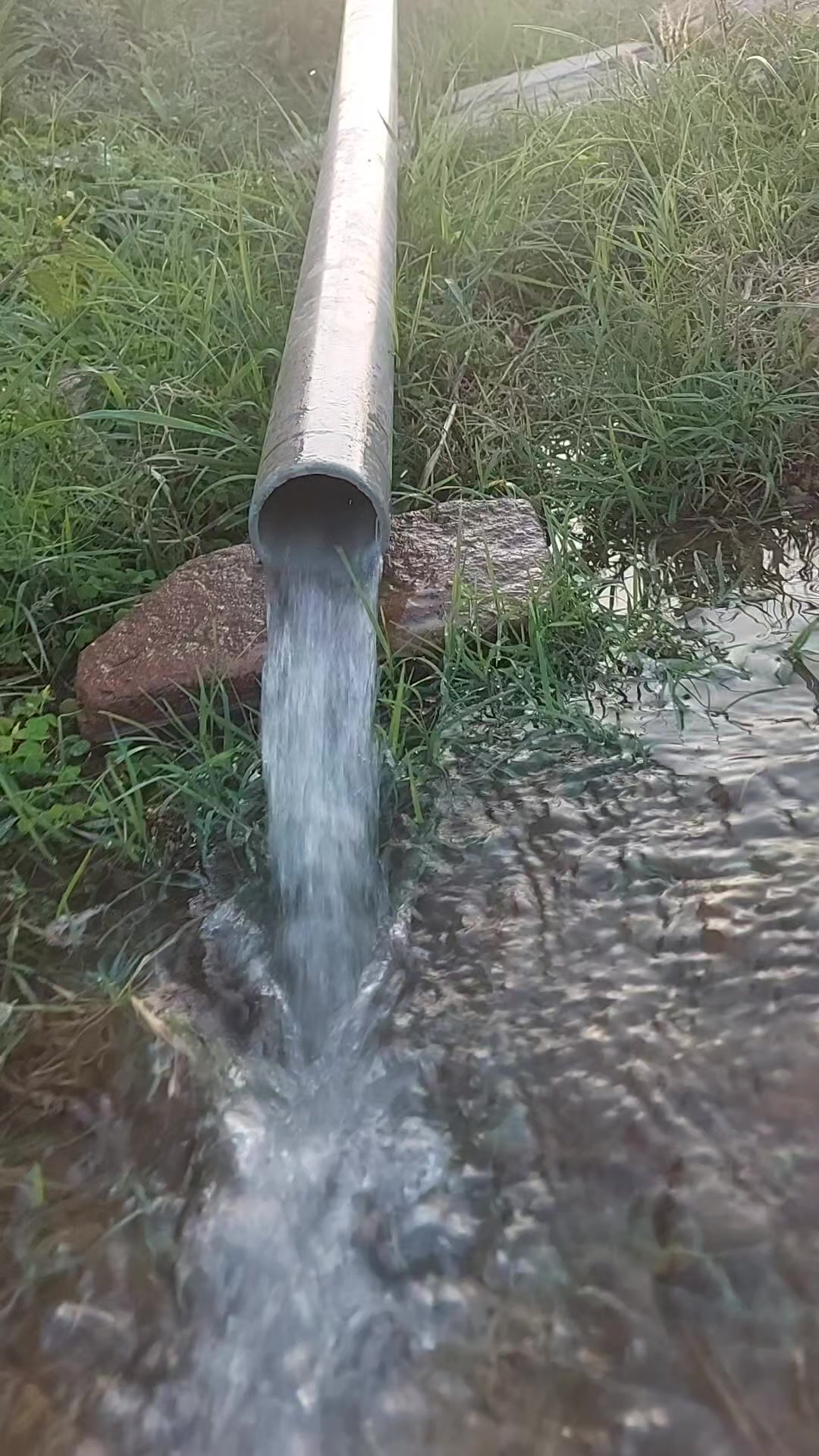 @ðŠðª ðŸðððð ððð ð