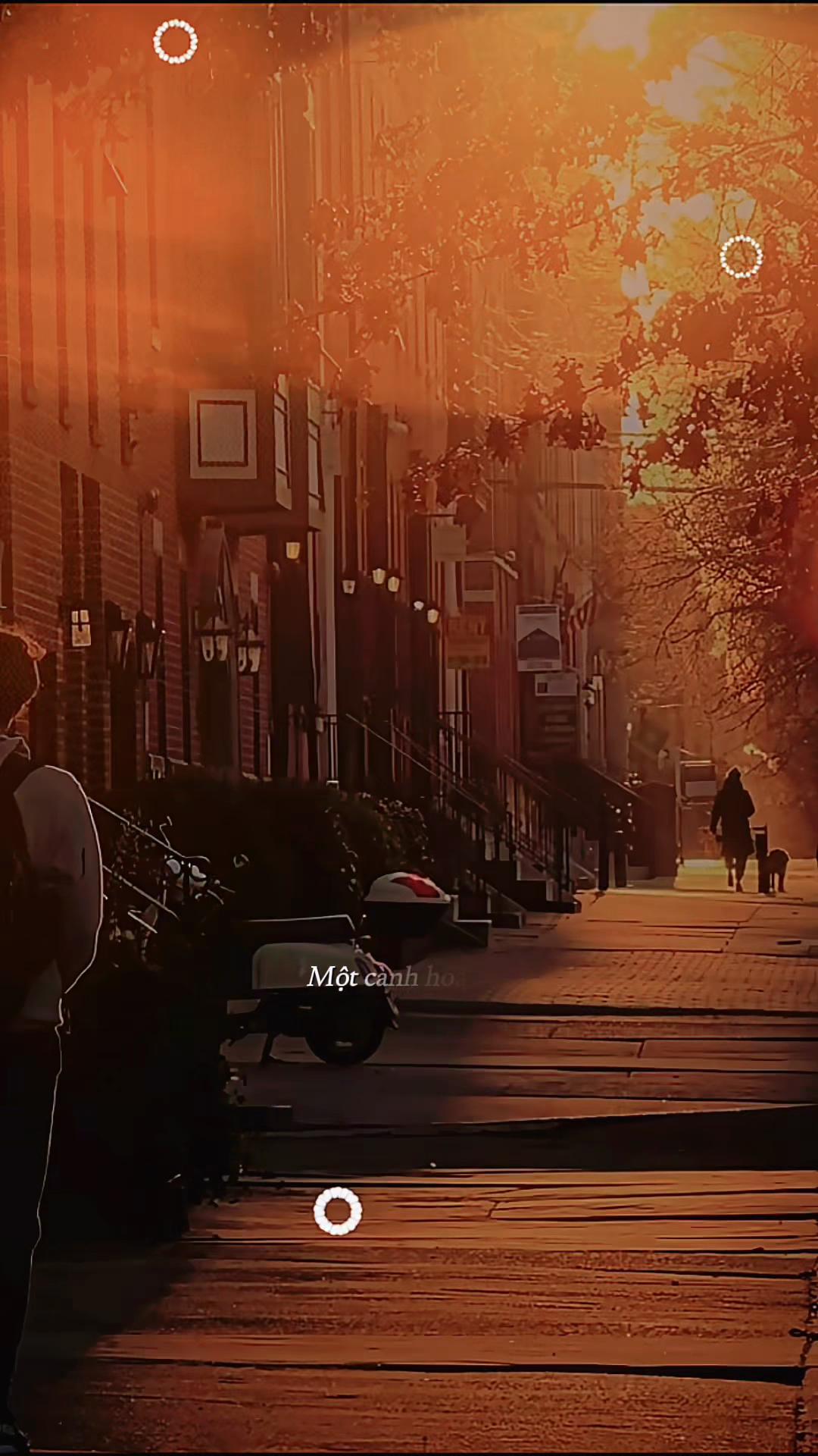 @𝐍𝐇𝐀̣𝐂 𝐓𝐈̀𝐍𝐇 𝐒𝐔𝐘 🎶