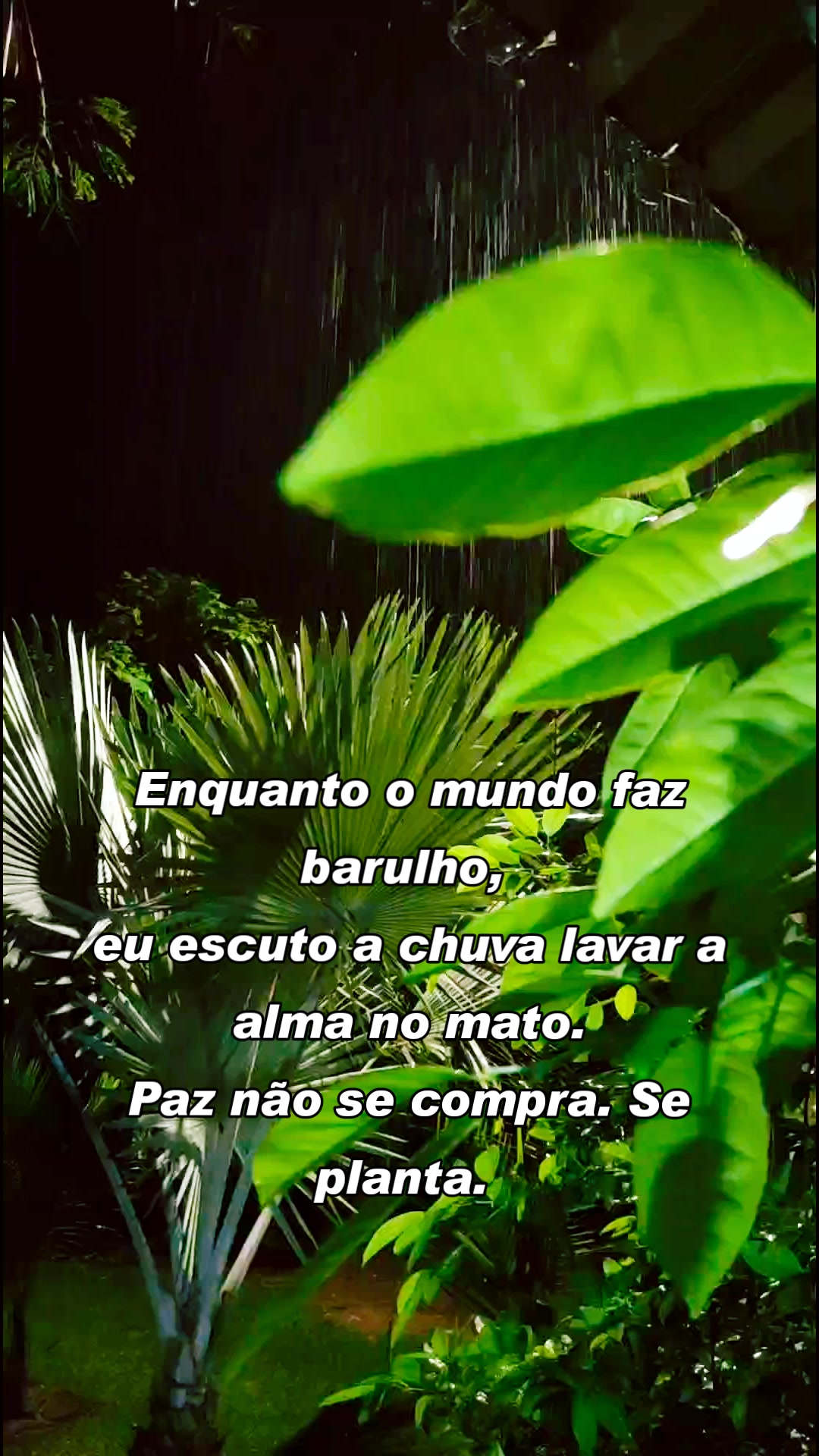 @Igor Garcia Ruis