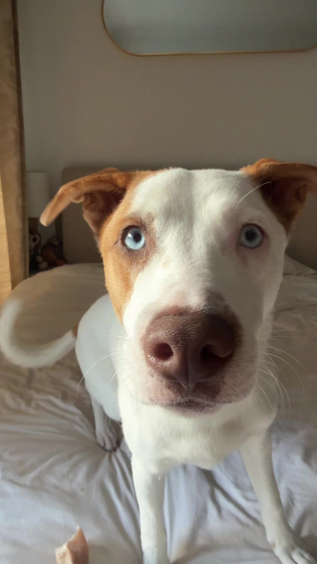 @HappyisAshley 🌞🦋🐶