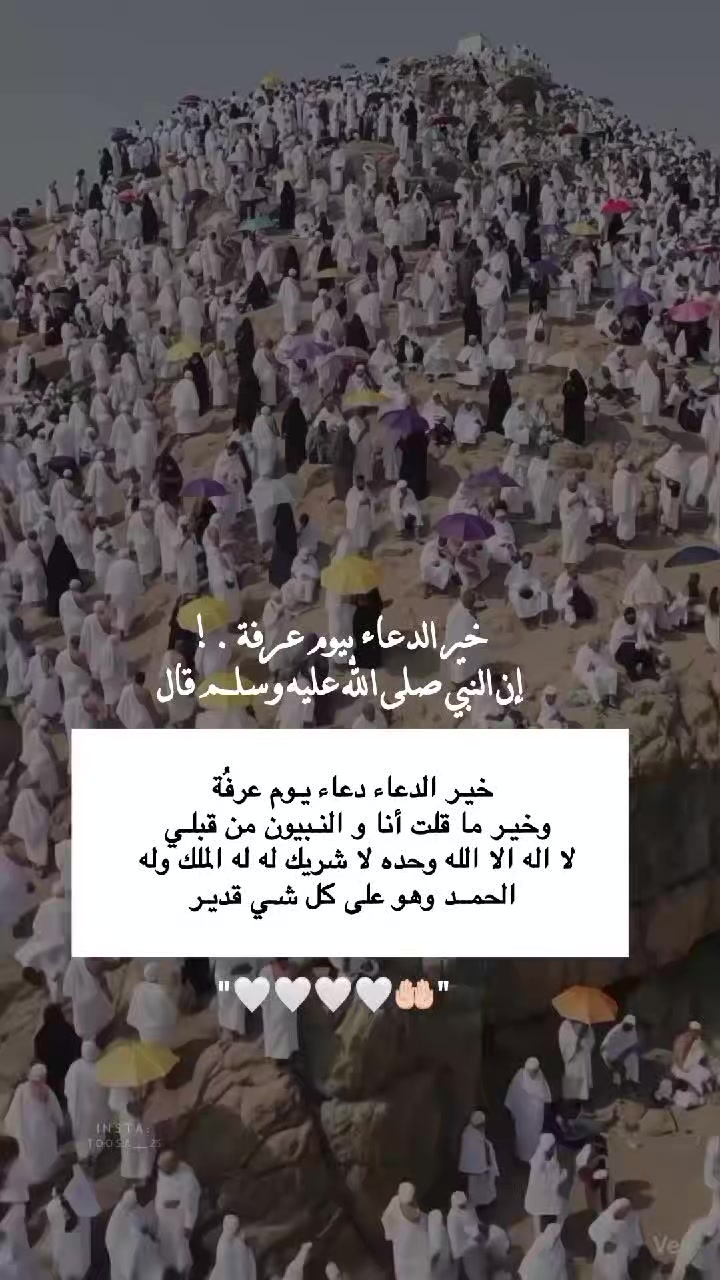@مُصـممة | تـوسا 𐙚
