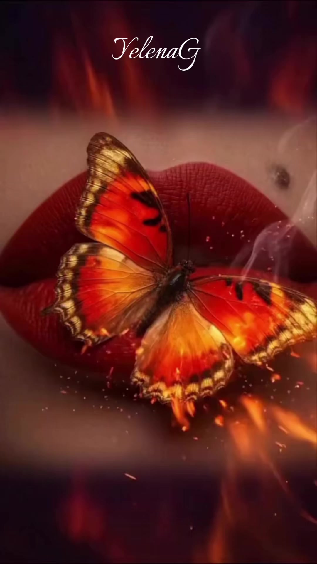 @🕊️❤️🕊️