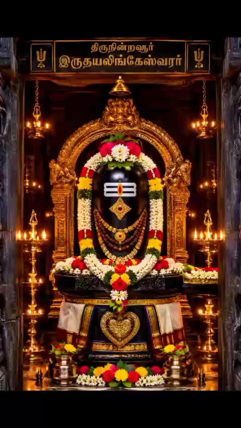 @VS தவசிஅரசன்