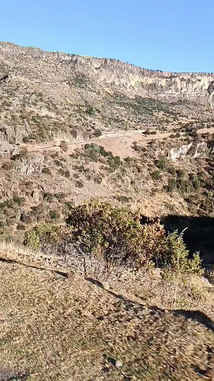 @Alexandra alanya