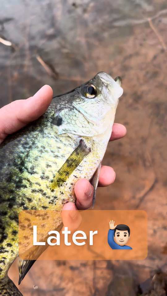 @Flyfishing_Sucks