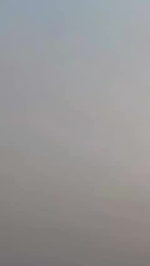 @غنم رنگ Halak