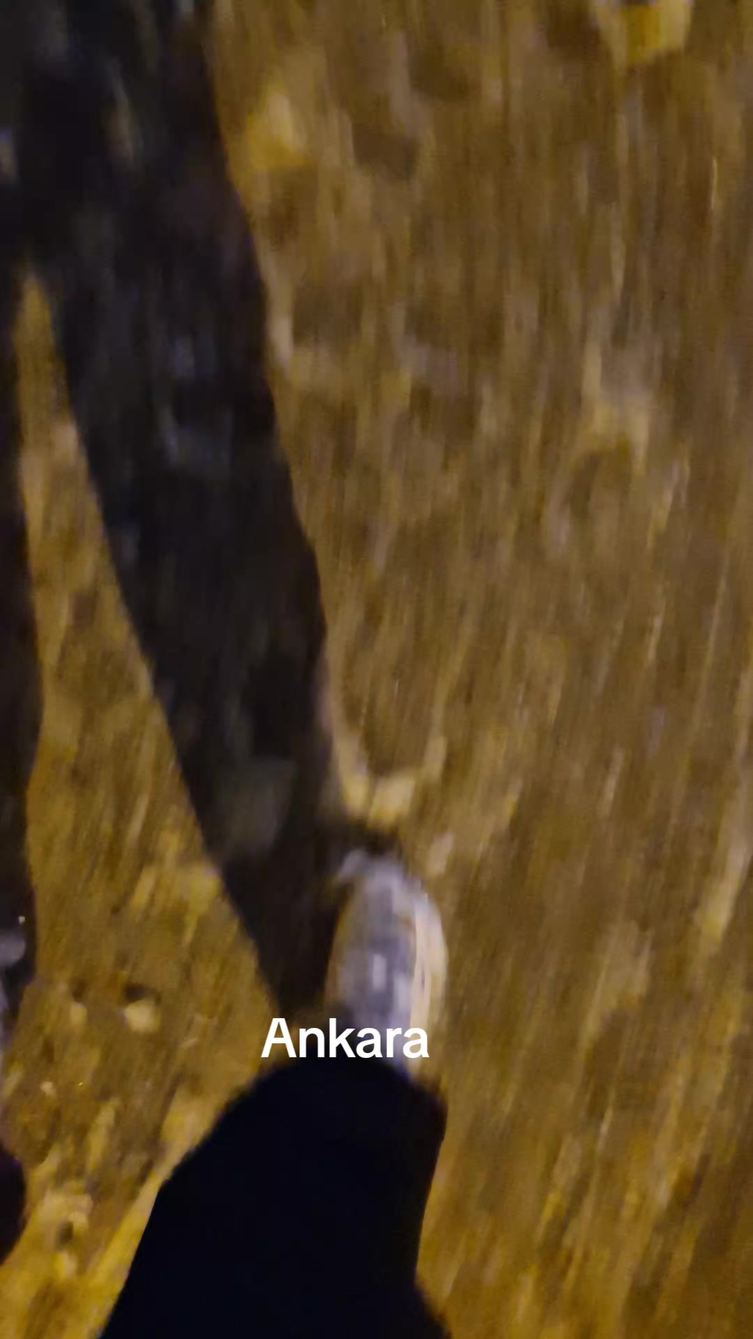 @coskunbalci
