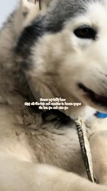 @Ilenee🍒🐾🌷🤍