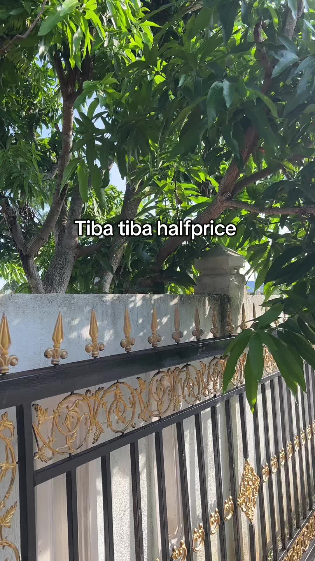 @Miaaa