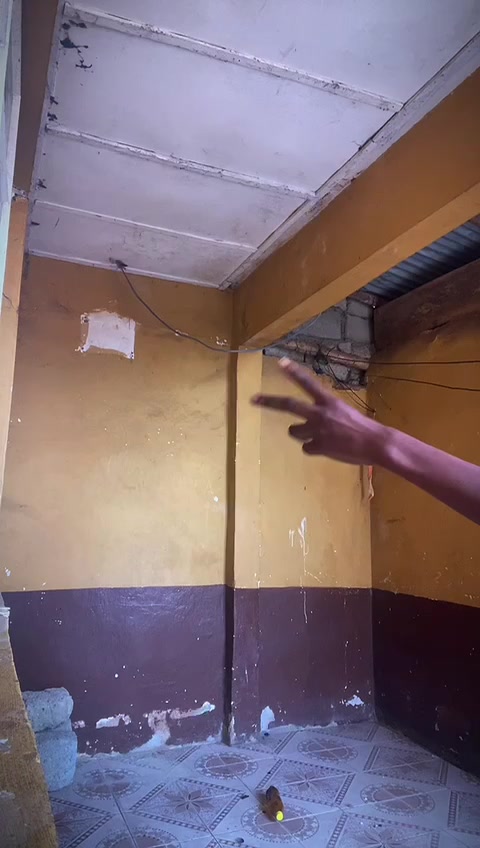 @PÄÜŁÏŠTÂ