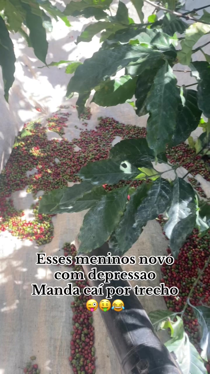 @amandacoutinho030