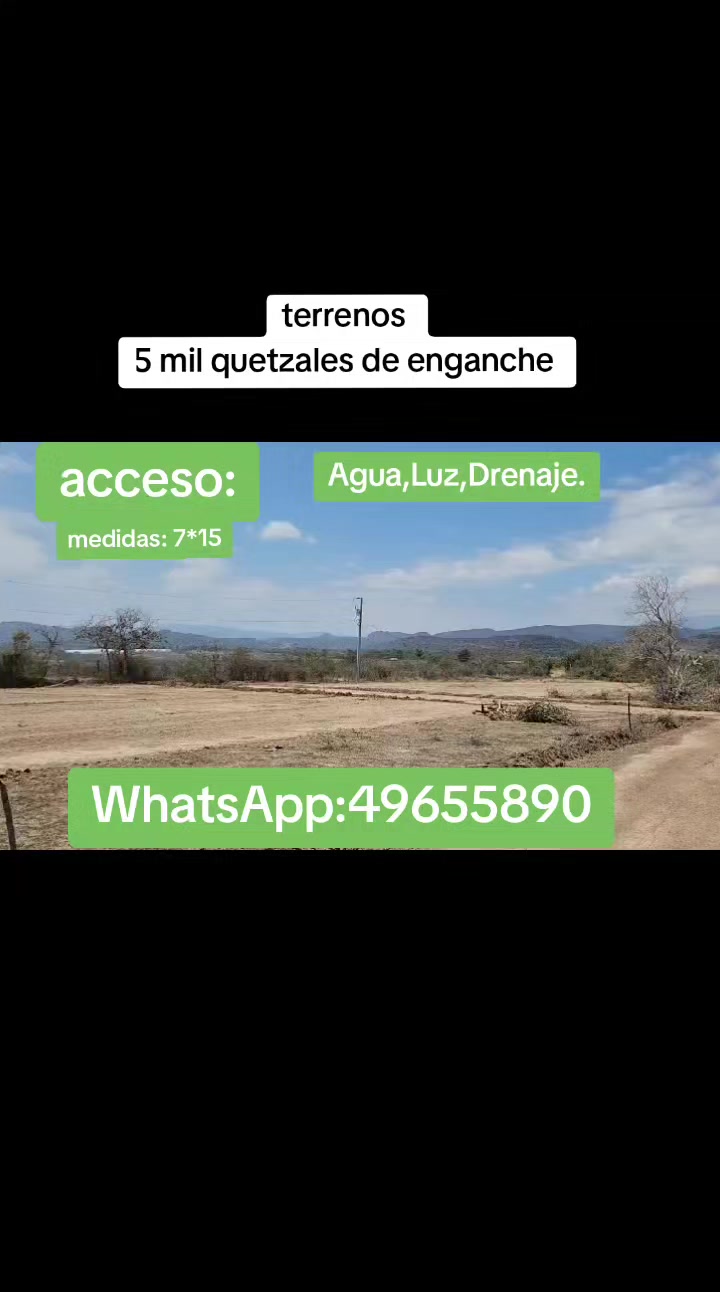 @Mario López asesor