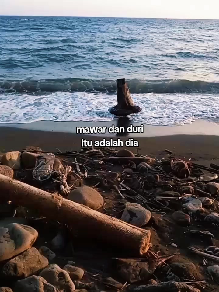 @rhann✨