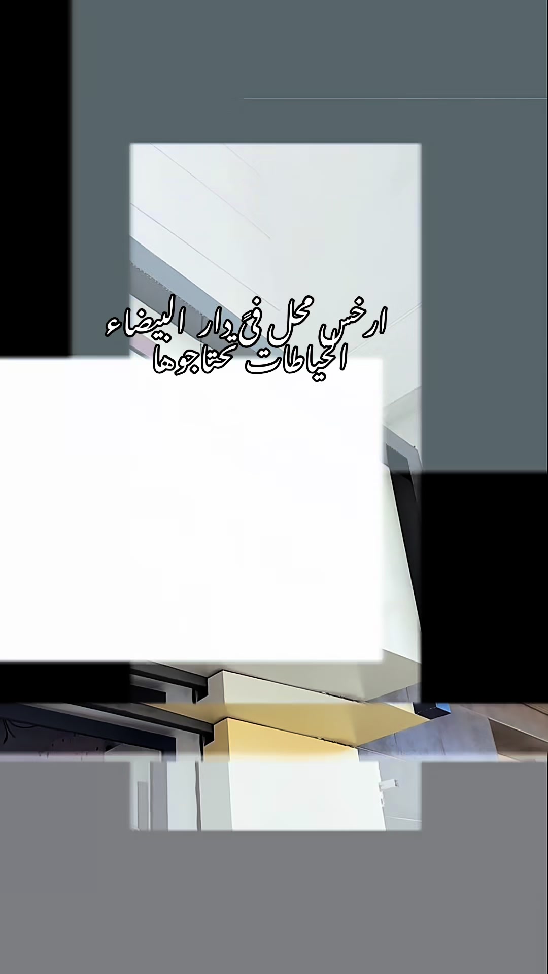 @velora creative