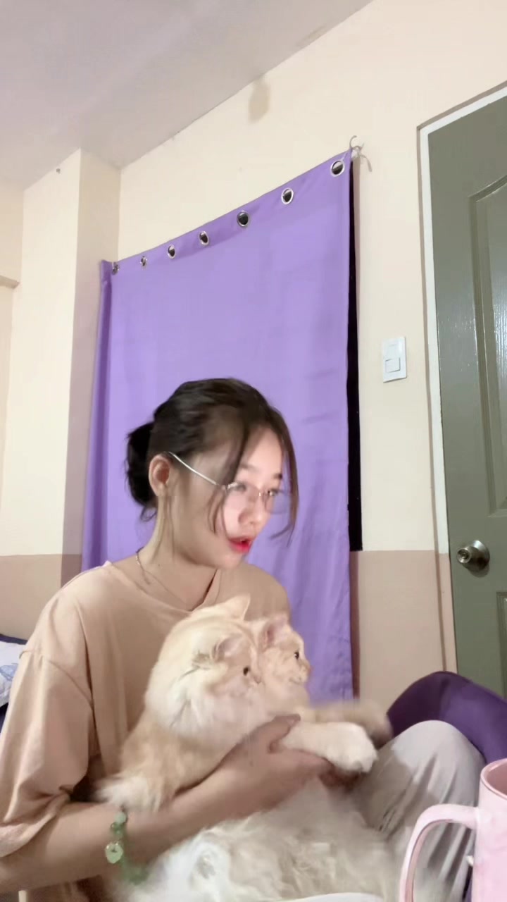 @AN🐈