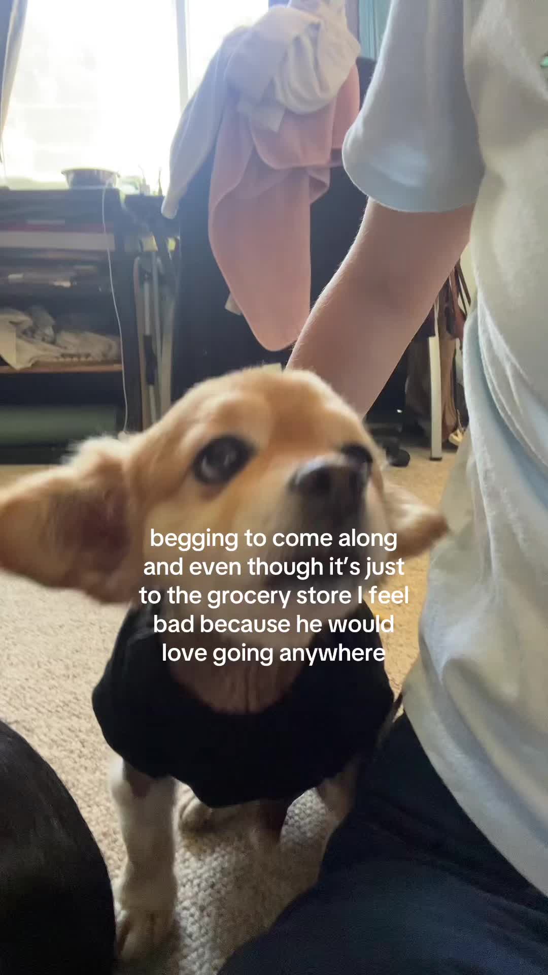 @kingpep