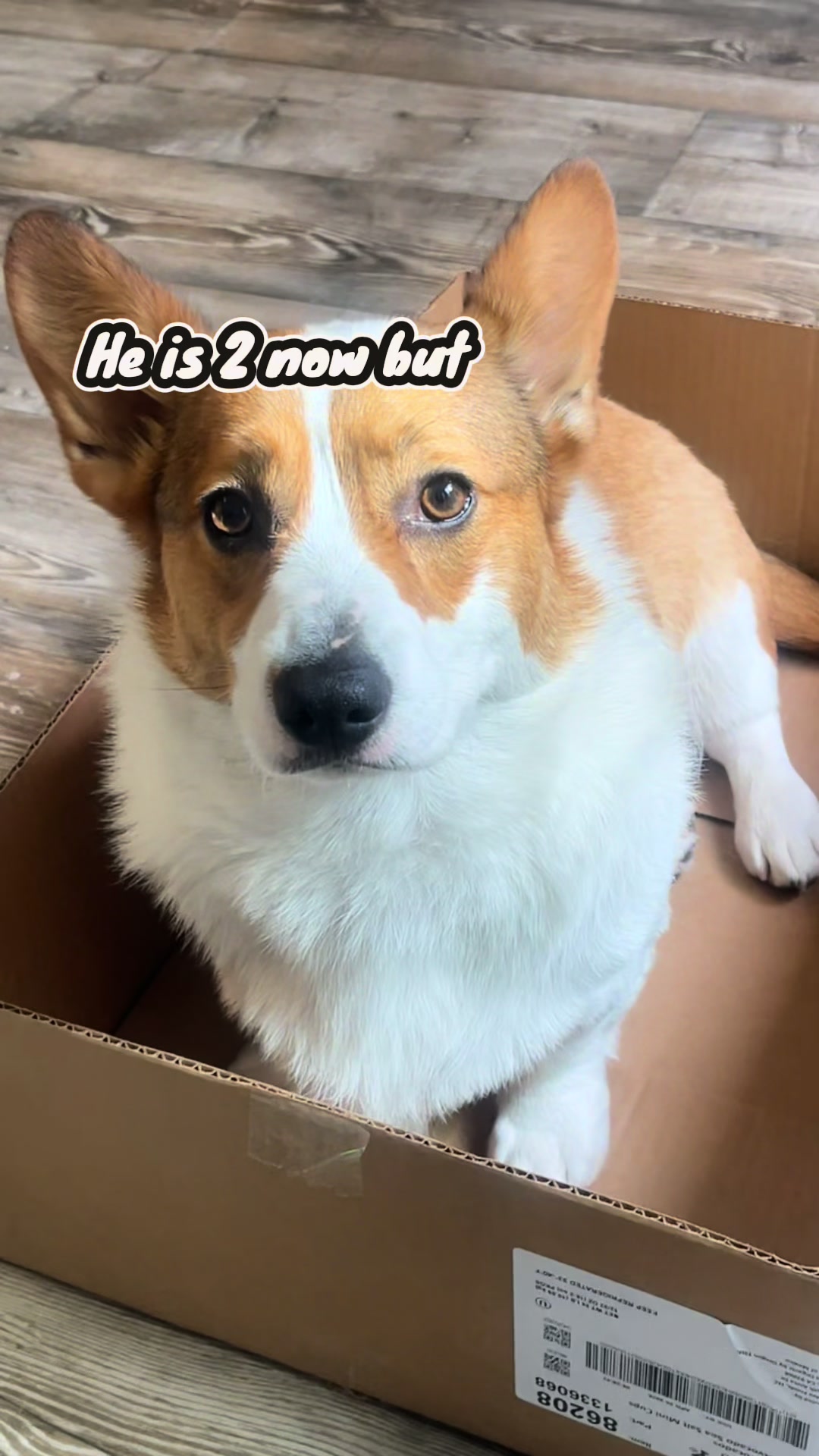 @aerusroommate