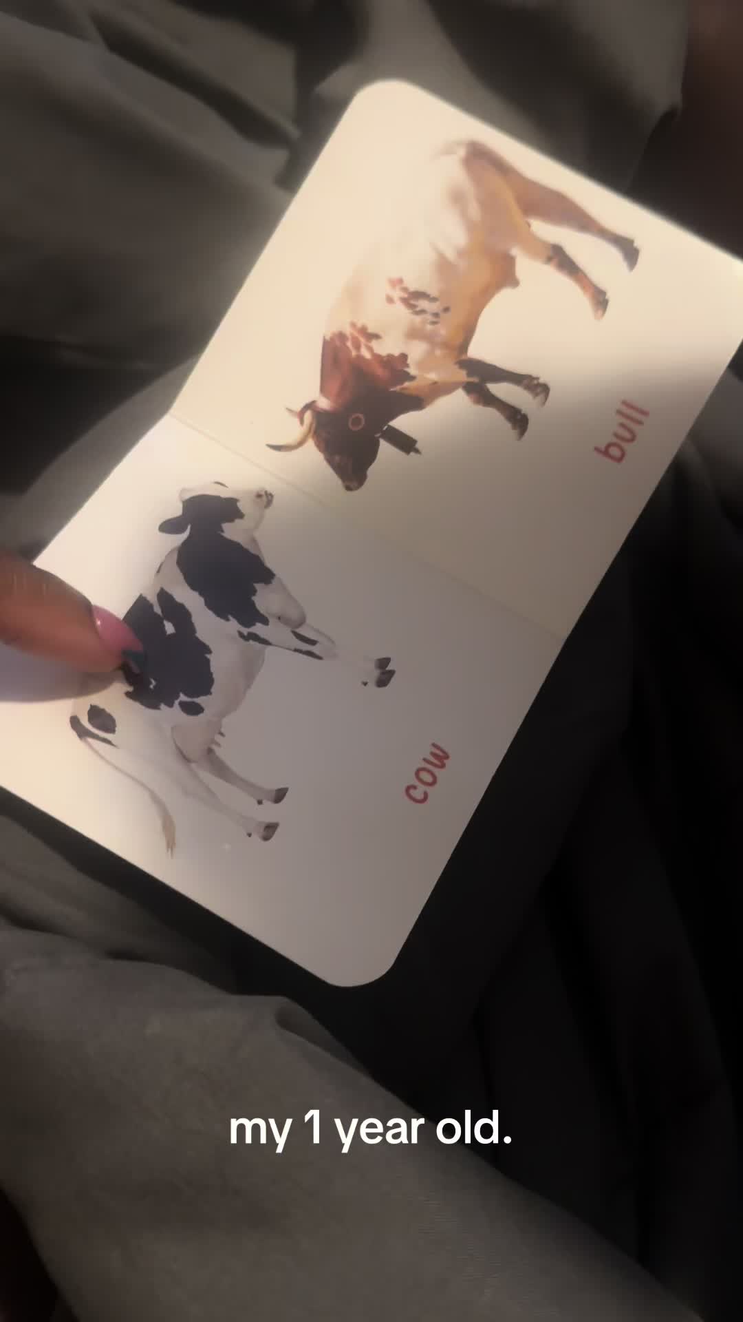 @1maddiedior