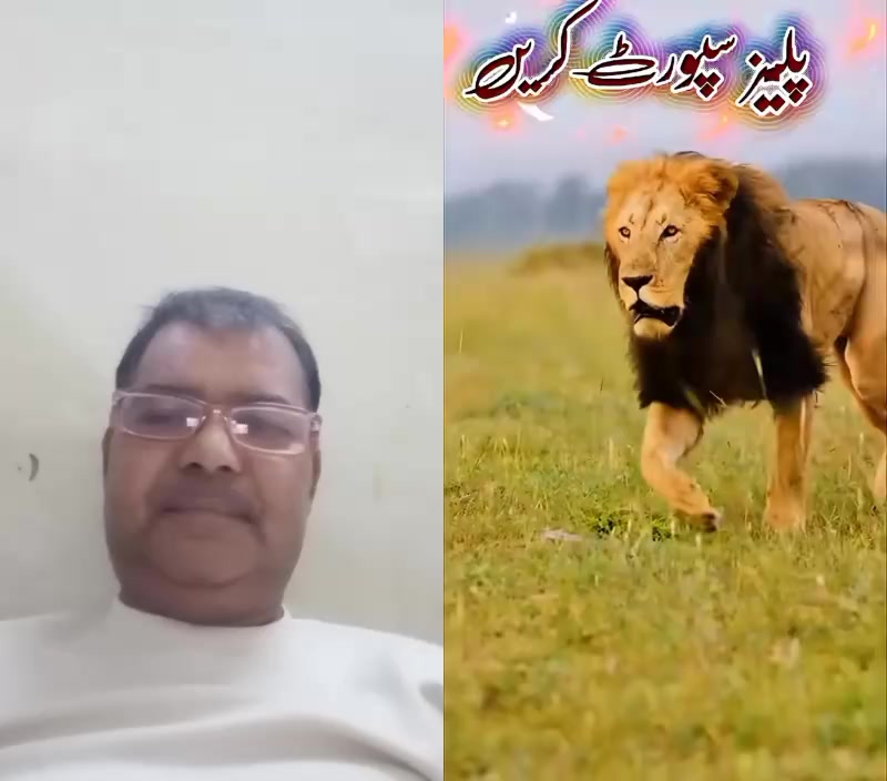 @mdakbar1231