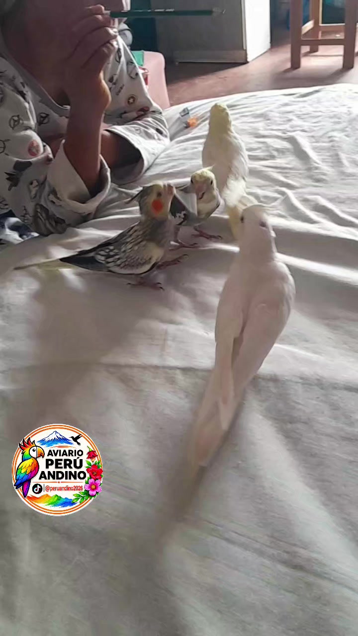 @rhiana tu charapita🏳️🌈