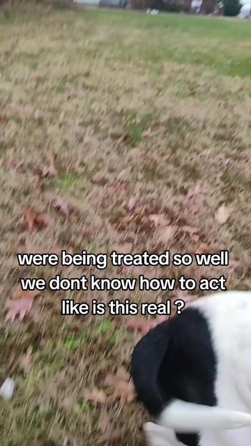@Ariana Wolfe