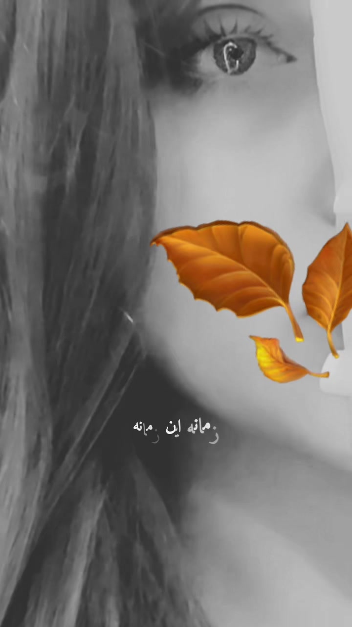 @🎀پیشوووگک🎀