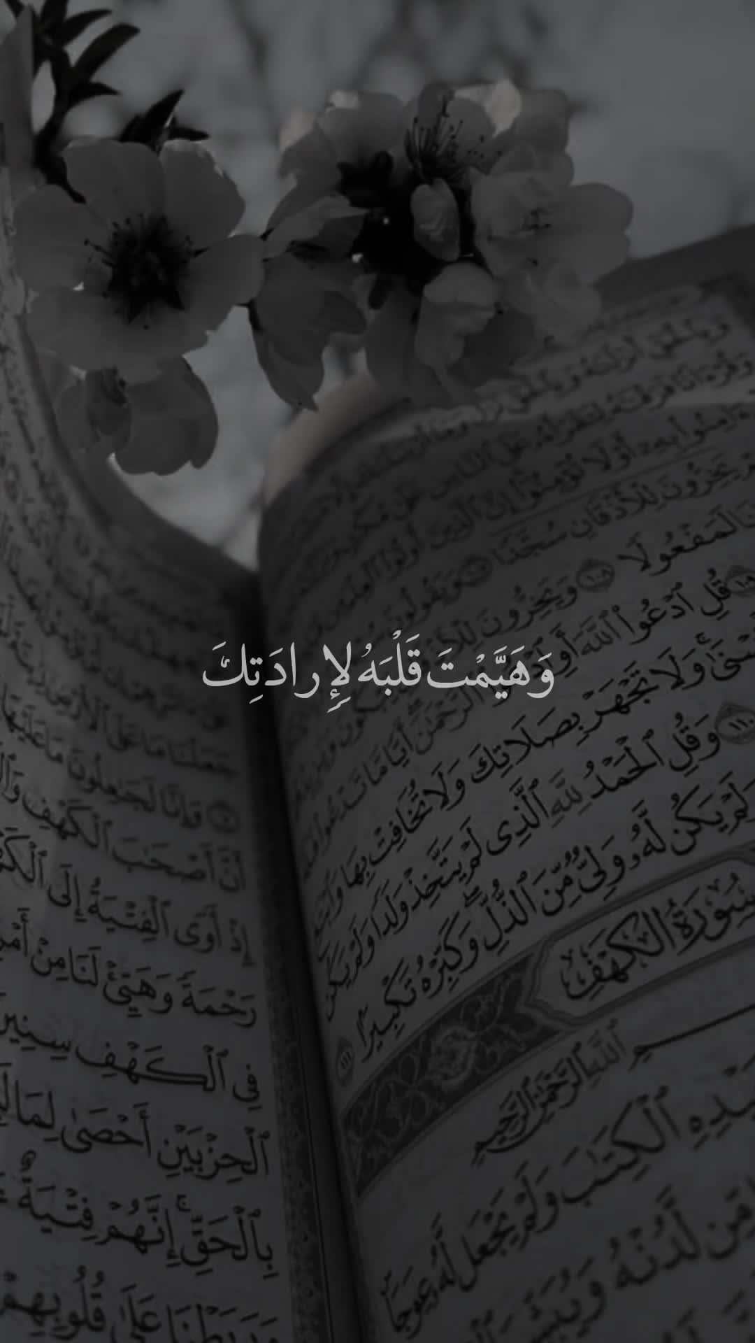 @قائد الغُرِّ المُحَجَّلين