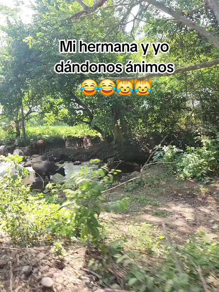@Estelita Duarte🦋💫