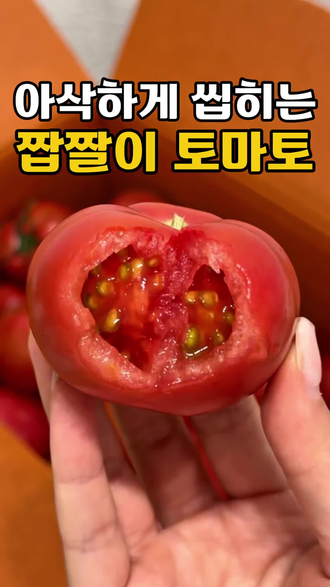 @싱싱햇 - 365일 싱싱한 햇 제철 먹거리