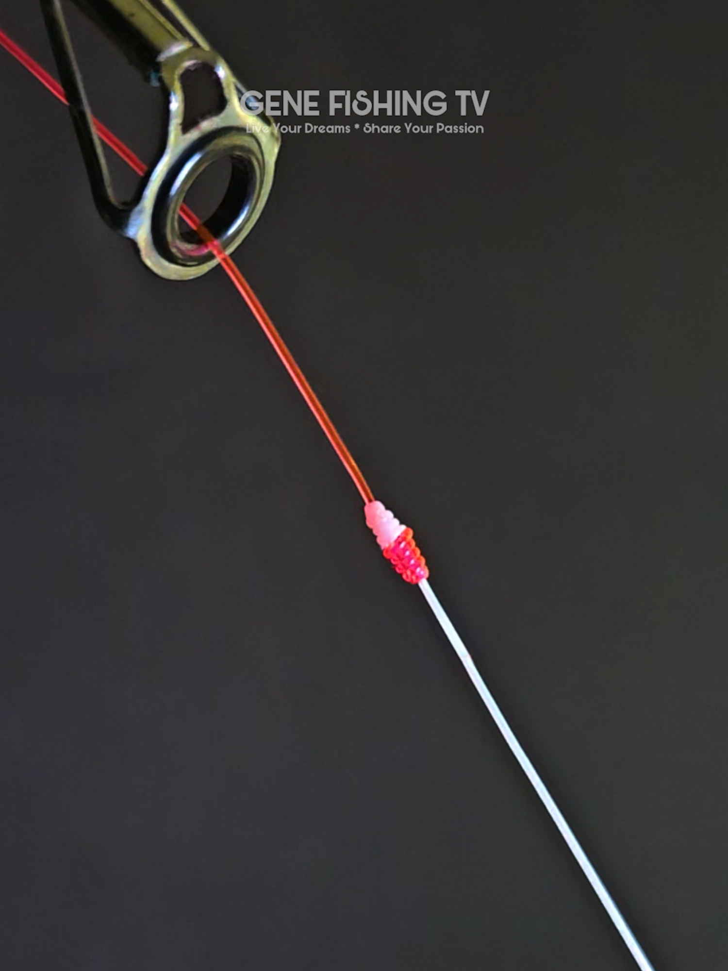 @Gene Fishing Tv