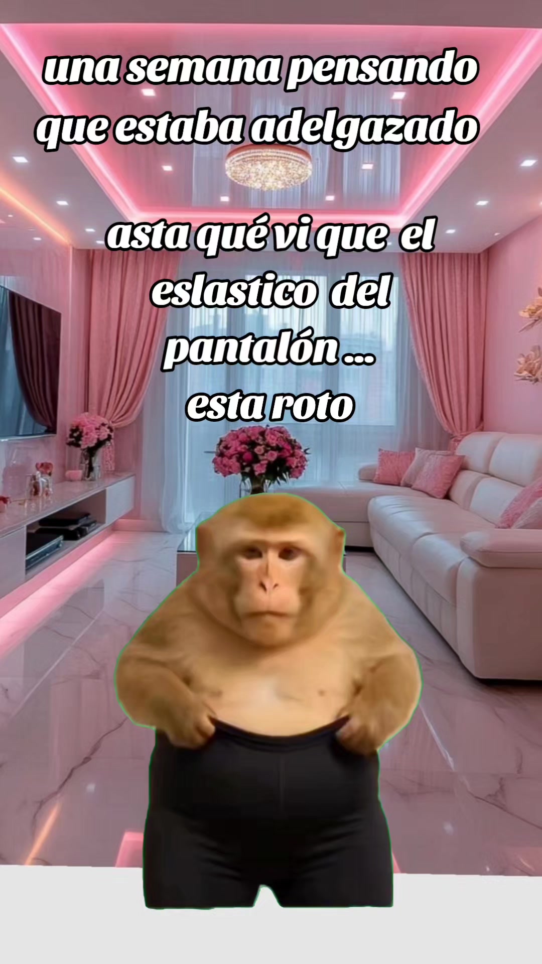 @Jasbleidy humor 🤣