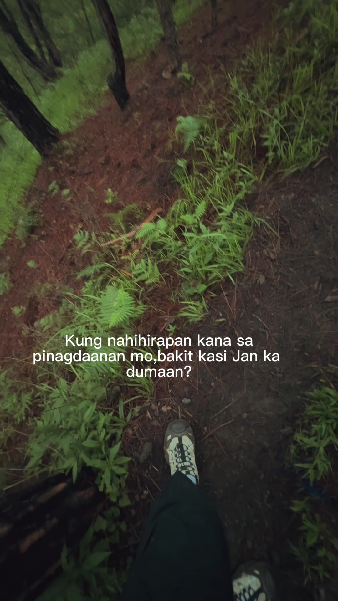 @ysaniiieee