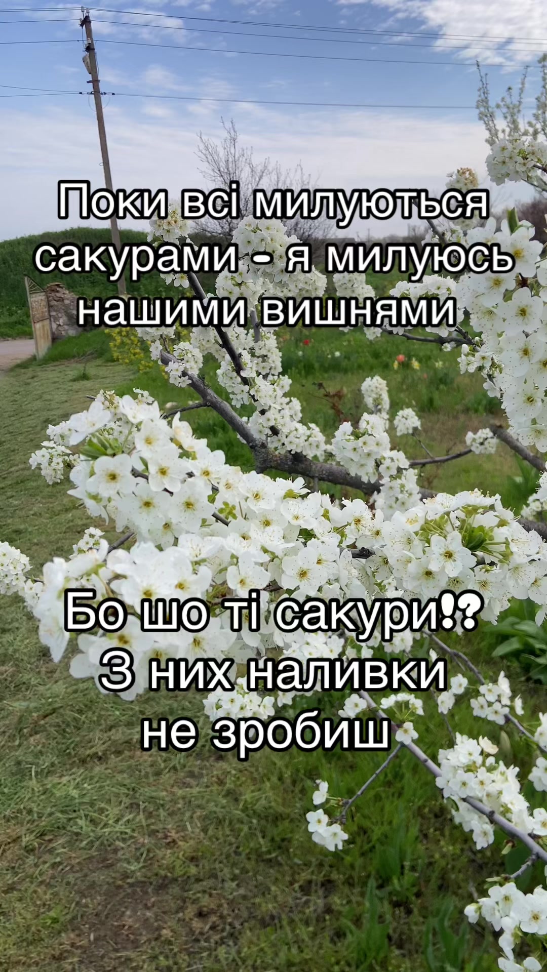 @Катеринка 🇺🇦