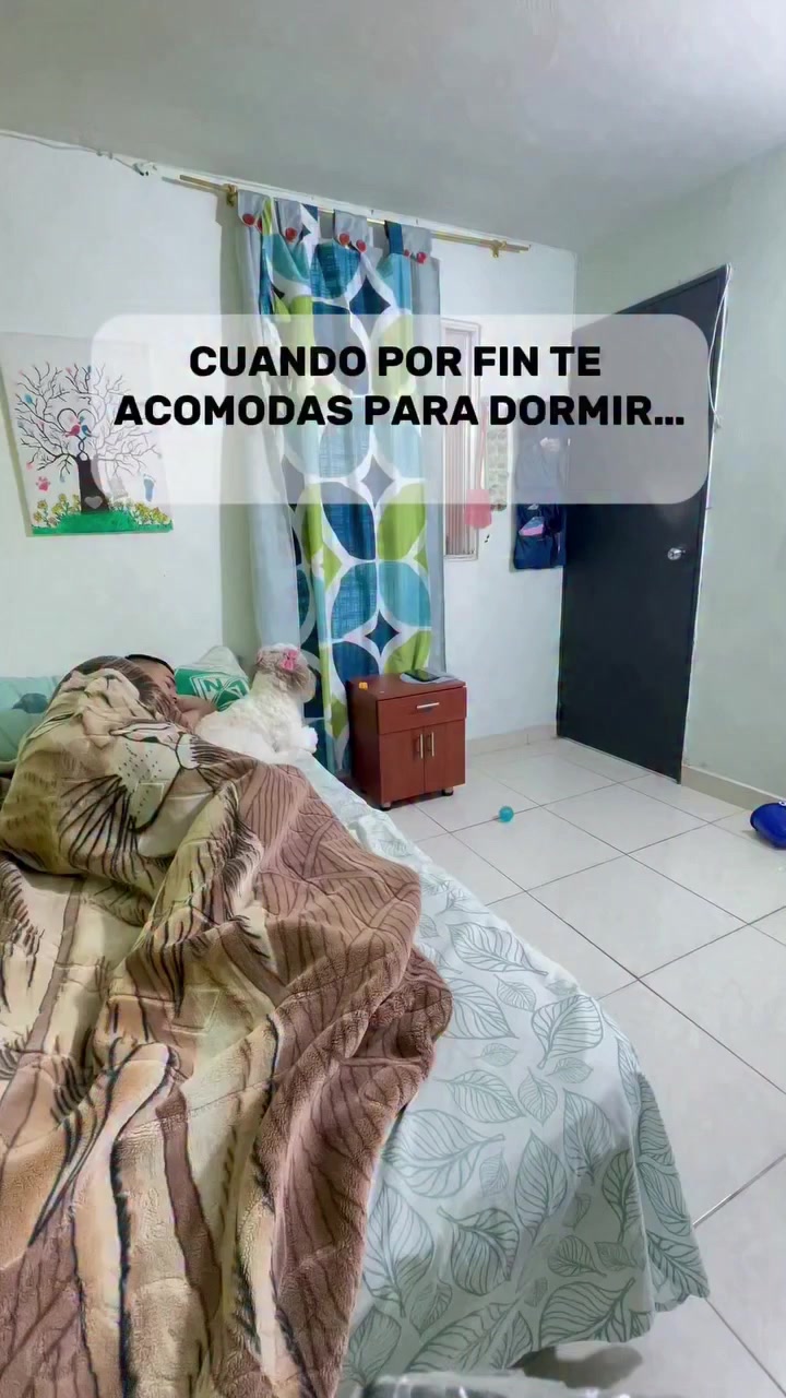 @odalisA