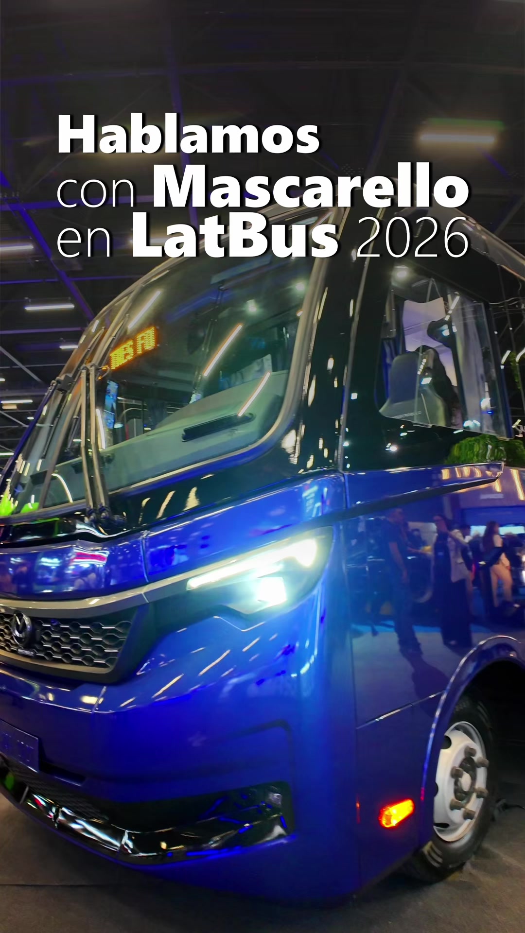 @Latinobus