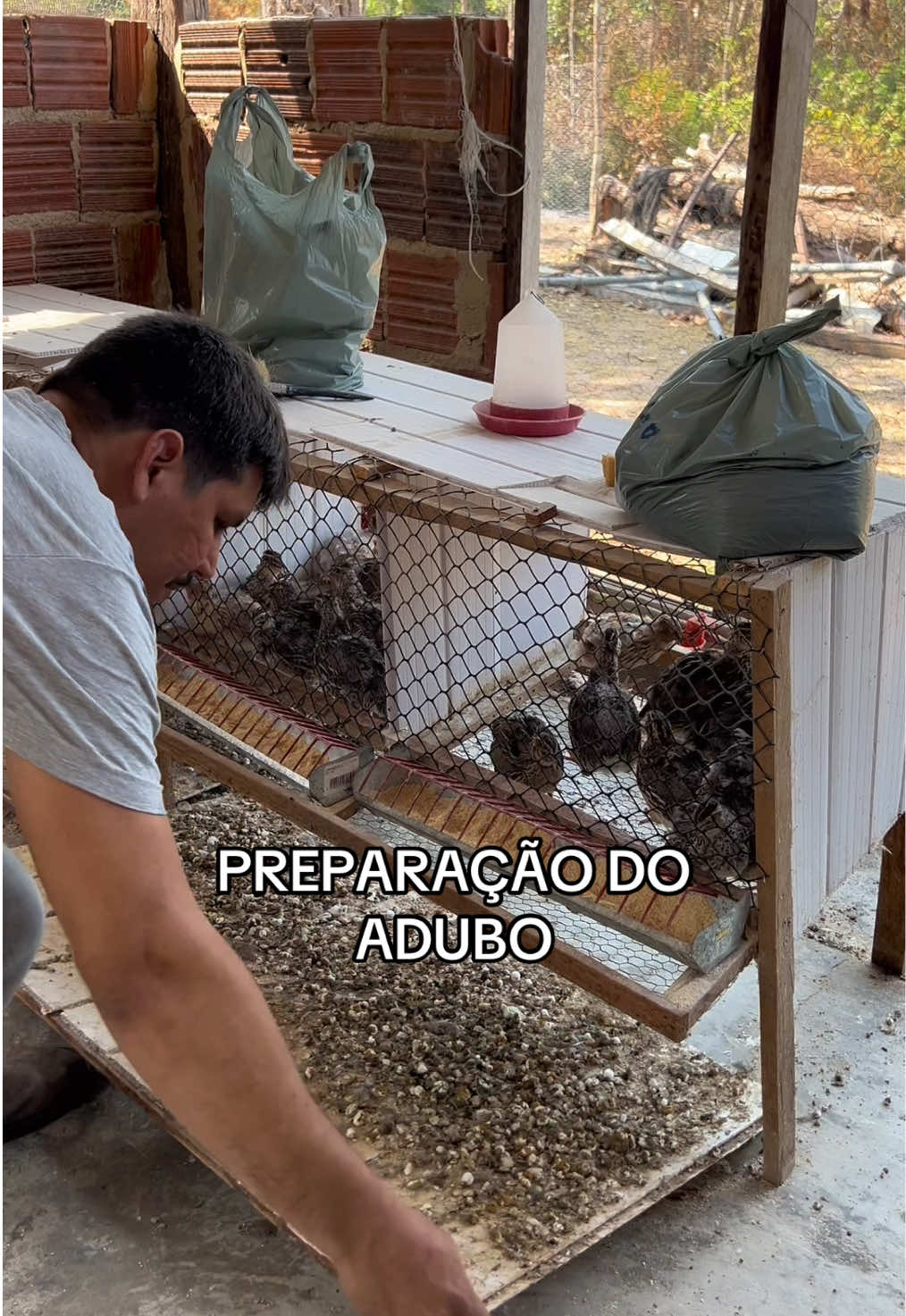 @souza